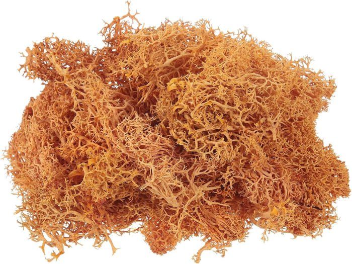 Fausse Mousse, 50 G De Mousse Artificielle En Plastique, Aspect Réaliste, Plantes D'lichen Vert Naturel Pour Pot De Fleurs, Jardin, Terrasse, Décoration Vert Foncé, Plantes Artificielles