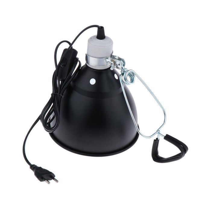 Meilleurs prix pour Lampe chauffante en céramique 300 W pour reptiles UVA UVB, support d'ampoule pour animaux de compagnie, abat-jour, lampe émettrice