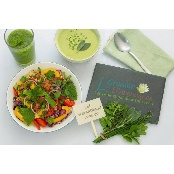 Meilleurs prix pour Lot de 1400 graines à semer - Le Grenier d' Abondance - Aromatiques Vivaces - 14 sachets individuels