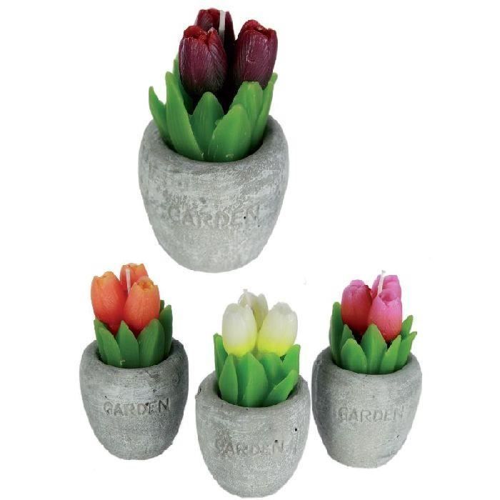 4 Bougies tulipe en pot en polyrésine 6 x 11 cm - 4 couleurs assorties -  Cdiscount Maison