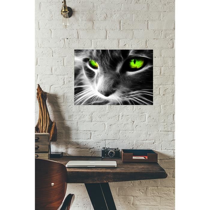Cadre Deco En Plexiglas 29 7cm X 42cm Epais 3mm Chat Noir Et Blanc Yeux Vert Cdiscount Maison Cadre Deco En Plexiglas 29 7cm X 42cm Epais 3mm Chat Noir Et Blanc Yeux Vert Cdiscount Maison