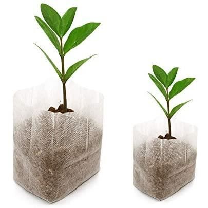 Lot de 200 sacs biodégradables Tissu non tissé pour plantes semis Sacs de croissance d'élevage (16 x 20 cm + 8 x 10 cm)
