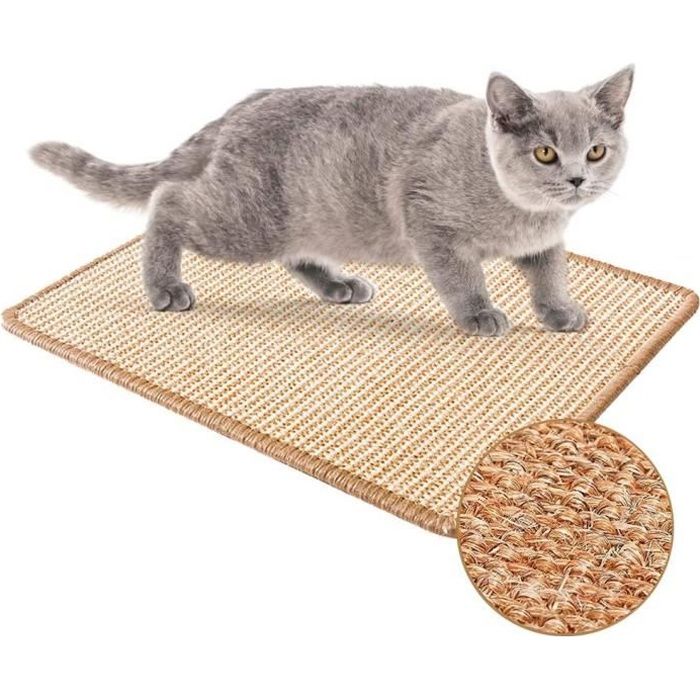 Targa In Alluminio Vintage Con Gatto E Scritte 29x19 Cm - Cartello Decorativo Per Grattatoio, Guida Per Graffi, Feline Petting - Prodotto In USA - 5