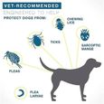 AWY04164-Collier anti puces réglable pour animal de compagnie, accessoire pour chien et chat, anti insectes, anti moustiques dog-2