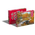 Puzzle 1000 pièces - Cherry Pazzi - Automne dans un vieux parc - Paysage et nature - Adulte - Coloris Unique-3