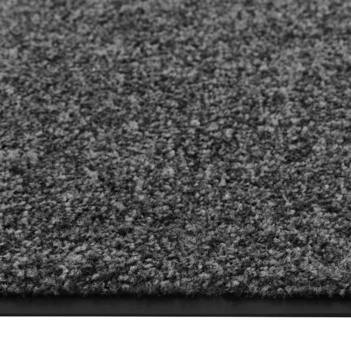 Carpido Paillasson de Haute qualité Intérieur & Extérieur - Gris - 40 x 60 cm - Tapis de propreté antidérapant résistant aux intempéries - Chemin de Passage résistant Entrée, Couloir