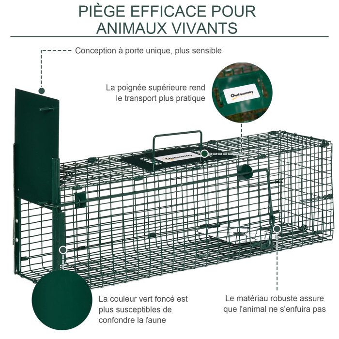 Pige Rat Jardilandnull
