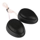 Haut-parleur Voiture 1000W - Mini Format Rond - Collant Inclus - Sensibilité 98dB - Noir Ou Argent
