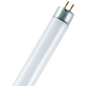 AMPOULE - LED Tube fluo cq10 t5 8W 840 active G5 D16