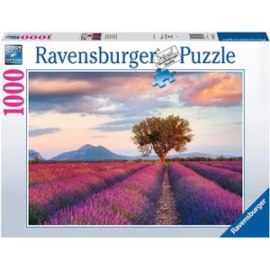 Puzzle paysage mer 500 pièces - Ravensburger - Vue sur l'océan - Cdiscount  Jeux - Jouets