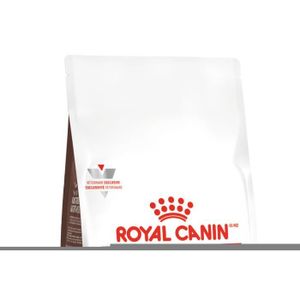 CROQUETTES Royal Canin Gastro Intestinal Kitten | 400 GR