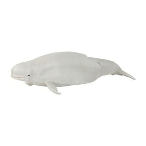 FIGURINE - PERSONNAGE Figurine - TOMY - Ania - Béluga - Articulée 15 cm - Blanc