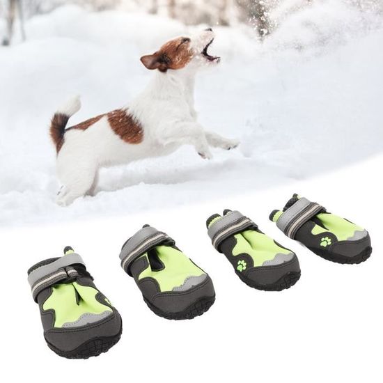 Chausson pour chien antidérapant sales