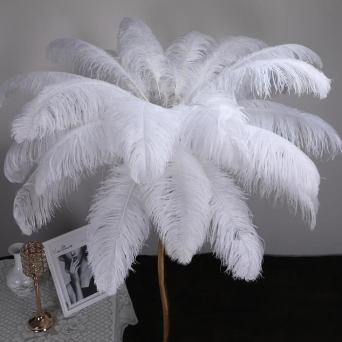 10 pièces lot naturel blanc plumes d'autruche 15 75cm coloré plume décoration mariage fête Plumage - Type 40-45cm 16-18Inch
