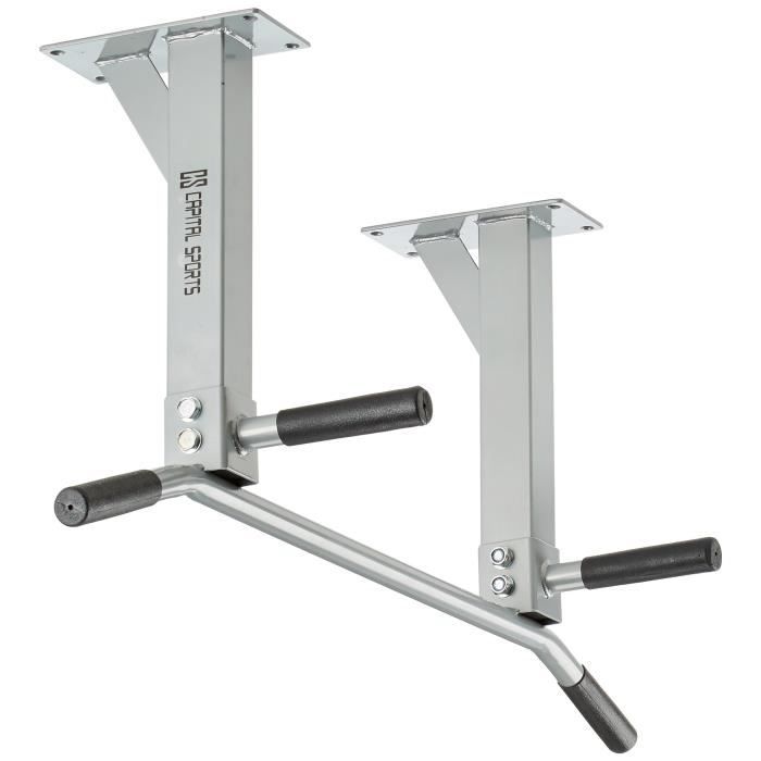 CAPITAL SPORTS Tyro S6 Barre de Traction (prévu pour un montage mural, deux groupes de poignées, charge maximale jusqu'à 350kg, m