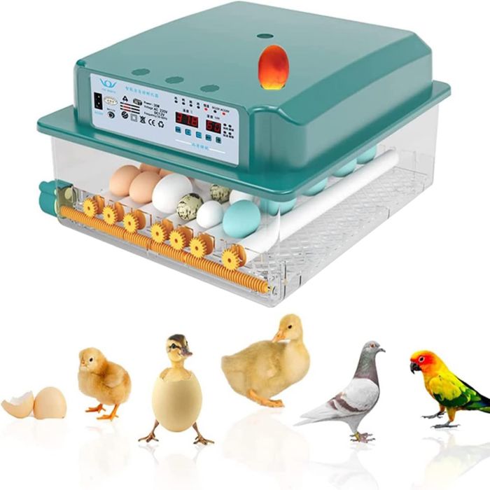 Meilleurs prix pour Couveuse Oeuf Automatique pour 36 Oeufs, Etournement Automatique des Oufs, Contrôle de la Température, Mire Oeuf Integré