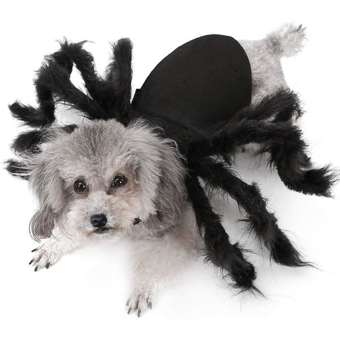 Costume Araignée pour Animaux - Ulisem - Noir - Halloween - Taille Ajustable