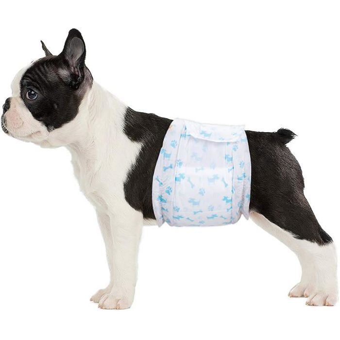 Couches pour Chien Mâle Taille S 24 Bandes Abdominales Ultra Absorbantes Incontinence S 24 Bleu BLEU CULOTTE HYGIENIQUE
