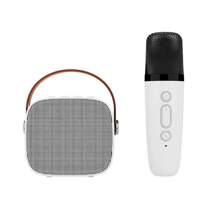 Mini micro sans fil Bluetooth,petit  haut-parleur,extérieur,portable,karaoké,audio,tout-en-un,caisson de basses-  White[C4876]