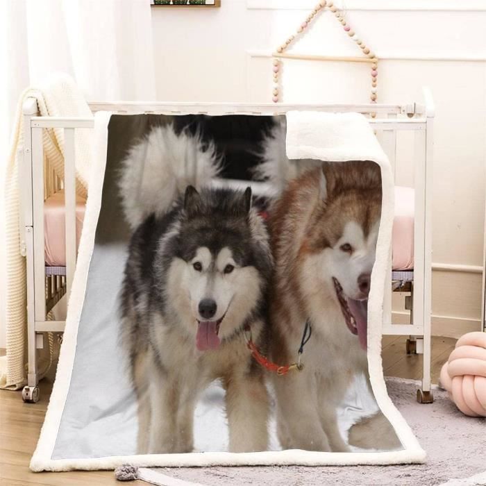 Couverture polaire pour chien deals