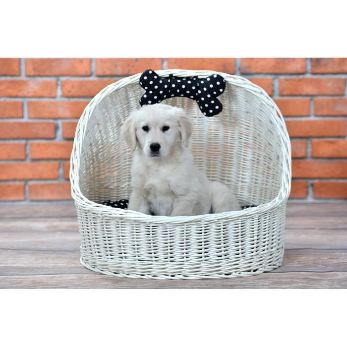 Meilleurs prix pour Corbeille - Niche - Panier Ovale - Osier Blanc - Coussin Lavable - Pour Chats et Chiens