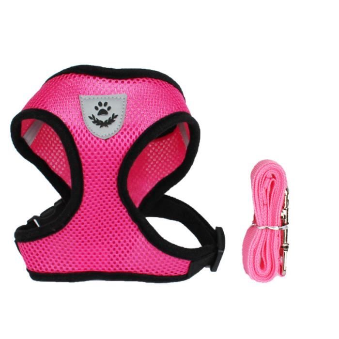 Collier,Harnais réglable pour chat, gilet, laisse, accessoires pour petits, moyens chiots