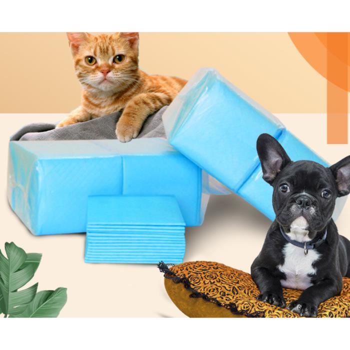 LINGSFIRE Tapis Imperméable Pour Chien, Lavable, Tapis De Dressage Pour