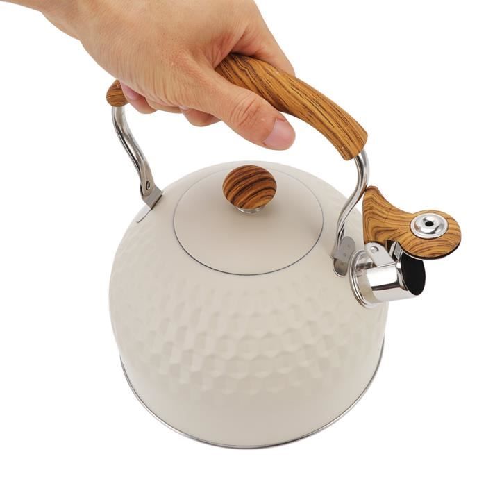 Bouilloire, Theiere Induction, Bouilloire Sifflante, Bouilloire à Sifflet En Acier Inox, 2.5L