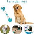 Diker Jouet à morsures de chien multifonctions, jouet avec ventouse et balle en caoutchouc, nettoyage efficace des dents (Vert)-0