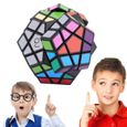 Chaud! Jouets spéciaux 12-côté Megaminx Magique Cube Puzzle Vitesse Cubes Éducatifs-0