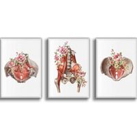 Lot de 3 affiches sur toile pour femme - Aquarelle - Diagramme d'anatomie du bassin -Décoration murale - Sans cadre40*60CM