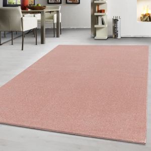 Tapis Int/érieur /& Ext/érieur Terrasse Et Balcon Monochrome Structur/é Dimension:200x290 cm Couleur:Beige