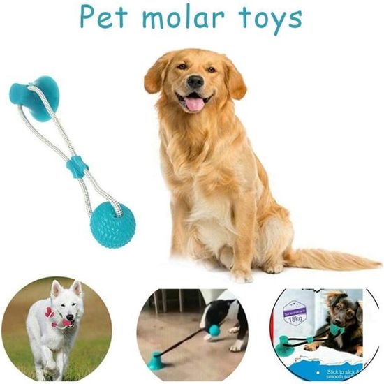 Diker Jouet à morsures de chien multifonctions, jouet avec ventouse et balle en caoutchouc, nettoyage efficace des dents (Vert)