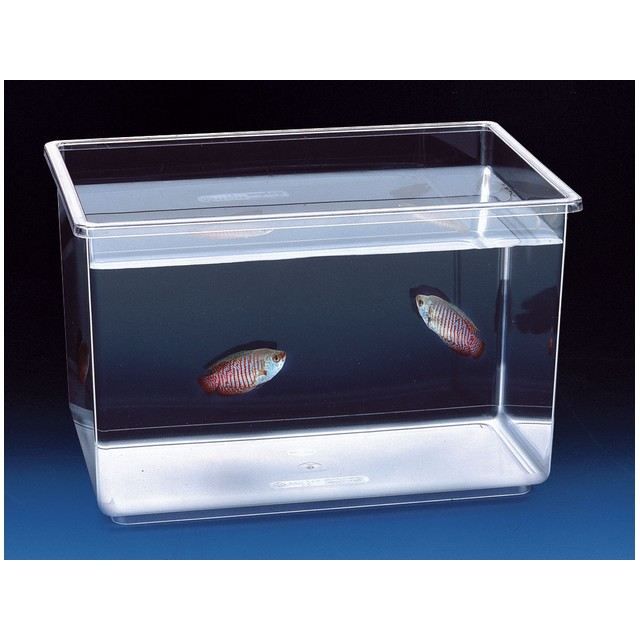Aquarium pour poisson - nettuno h27