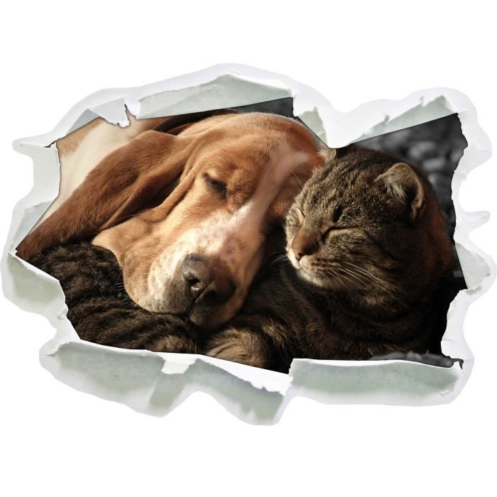 Chat Et Chien Calins B W Details Papier Aspect 3d La Taille De La Vignette Mur Ou De Porte 62x45cm Stickers Muraux Sticker Cdiscount Maison