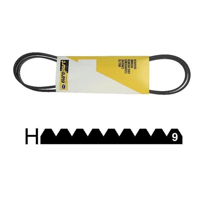 Courroie poly v Beko - vue 5