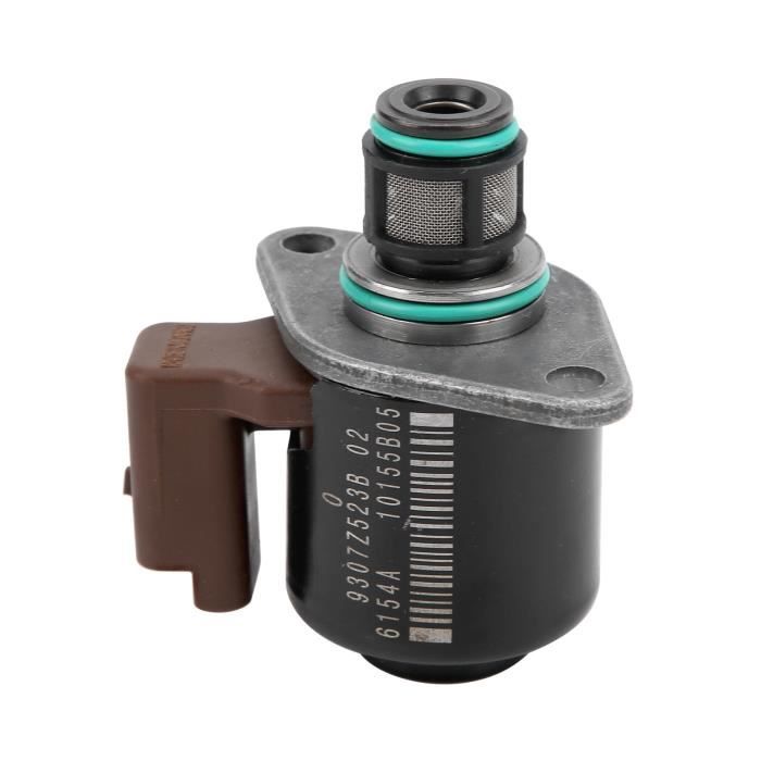 Mazzo Di Erba Della Pampa Secca - 15 Pezzi Per Decorazioni Boho E Matrimoni