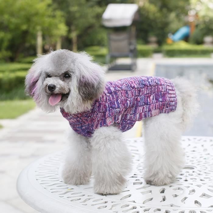 Tricot pour hotsell chihuahua