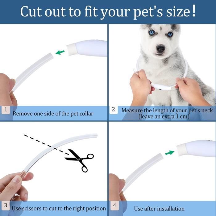 3 Colliers Fluorescents Pour Chien - Réglables Et Confortables - Visibilité De Nuit Pour Promenades Plus Sûres