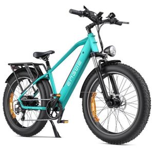 VÉLO ASSISTANCE ÉLEC velo electrique adulte homme vtc ENGWE E26 26 pouc