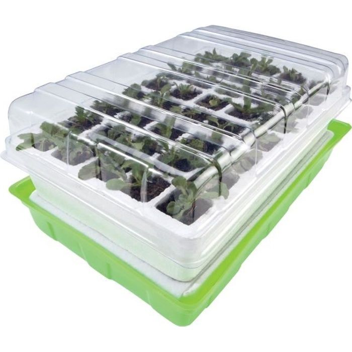 Kit De Germination