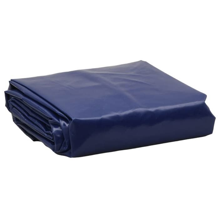 Vidaxl Bâche Bleu 5x6 m 650 g/m²