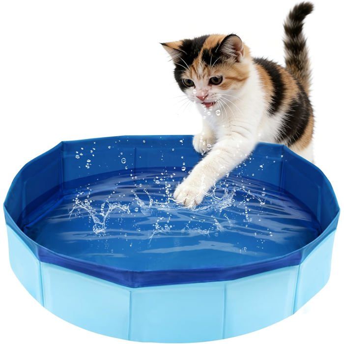 Petite piscine chien pliable 50x10cm – Piscine chat pataugeoire pour animaux – Baignoire portable pour chaton et petit chien