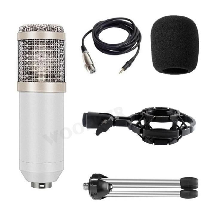 Microphone USB professionnel pour PC