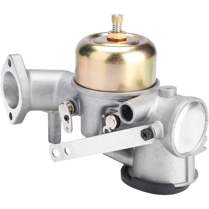 CARBURATEUR DE REMPLACEMENT efficace pour 12 HP compatible avec 491031 490499 EUR 50,39
