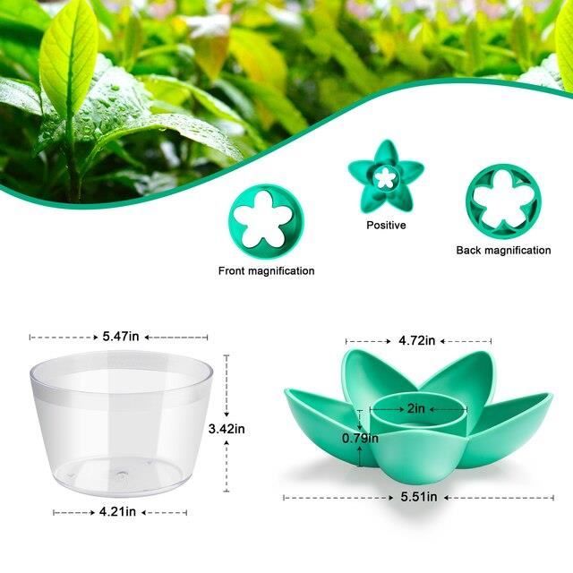 Vase à Avocat Transparent - Pour Faire Germer Un Noyau - Hydroponie, Décoration - Cadeau Jardinage - 10
