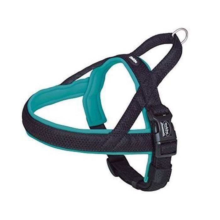 Meilleurs prix pour Nobby Mesh Preno Harnais Norvégien pour Chien Turquoise 38-50 cm + 36 cm-20-25 mm 80551-34
