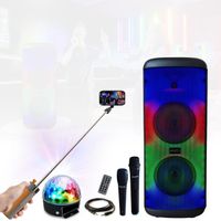 Enceinte Karaoke sans fil USB Bluetooth 600W Mooving ELECTRO-SOUND600 - 2 Micros - Jeu Lumière Astro Ibiza - Enceinte Perche Selfie