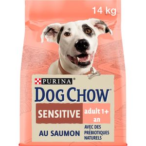 CROQUETTES DOG CHOW Chien Sensitive avec du Saumon - 14 KG - Croquettes pour chien adulte
