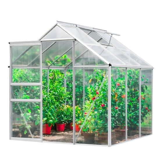 Serre De Jardin En Aluminium Et Polycarbonate - 12.25 M² (4.9m X 2.5m) - 4 Fenêtres De Toit - Porte Coulissante